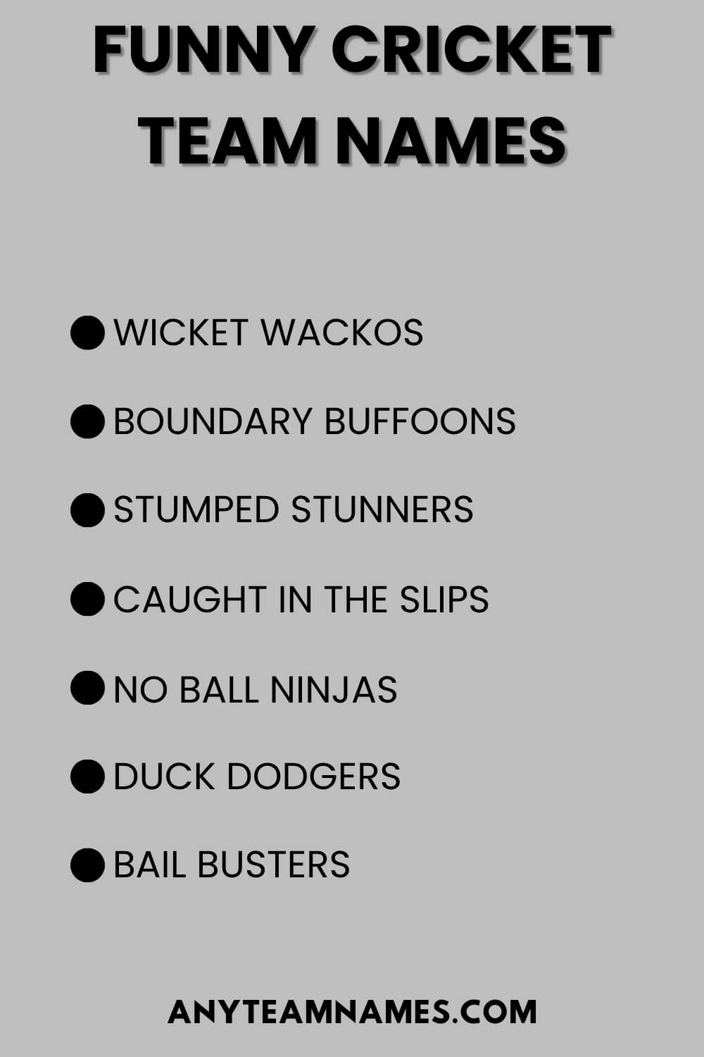 Funny Cricket Team Names