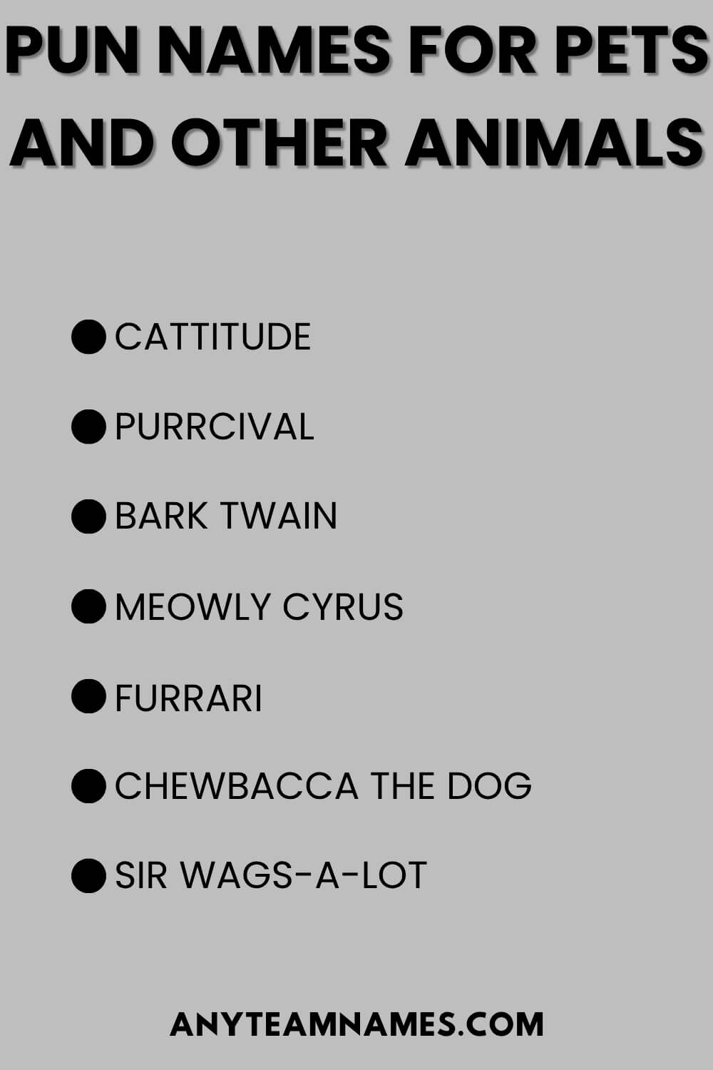 Pun Names For Pets And Other Animals