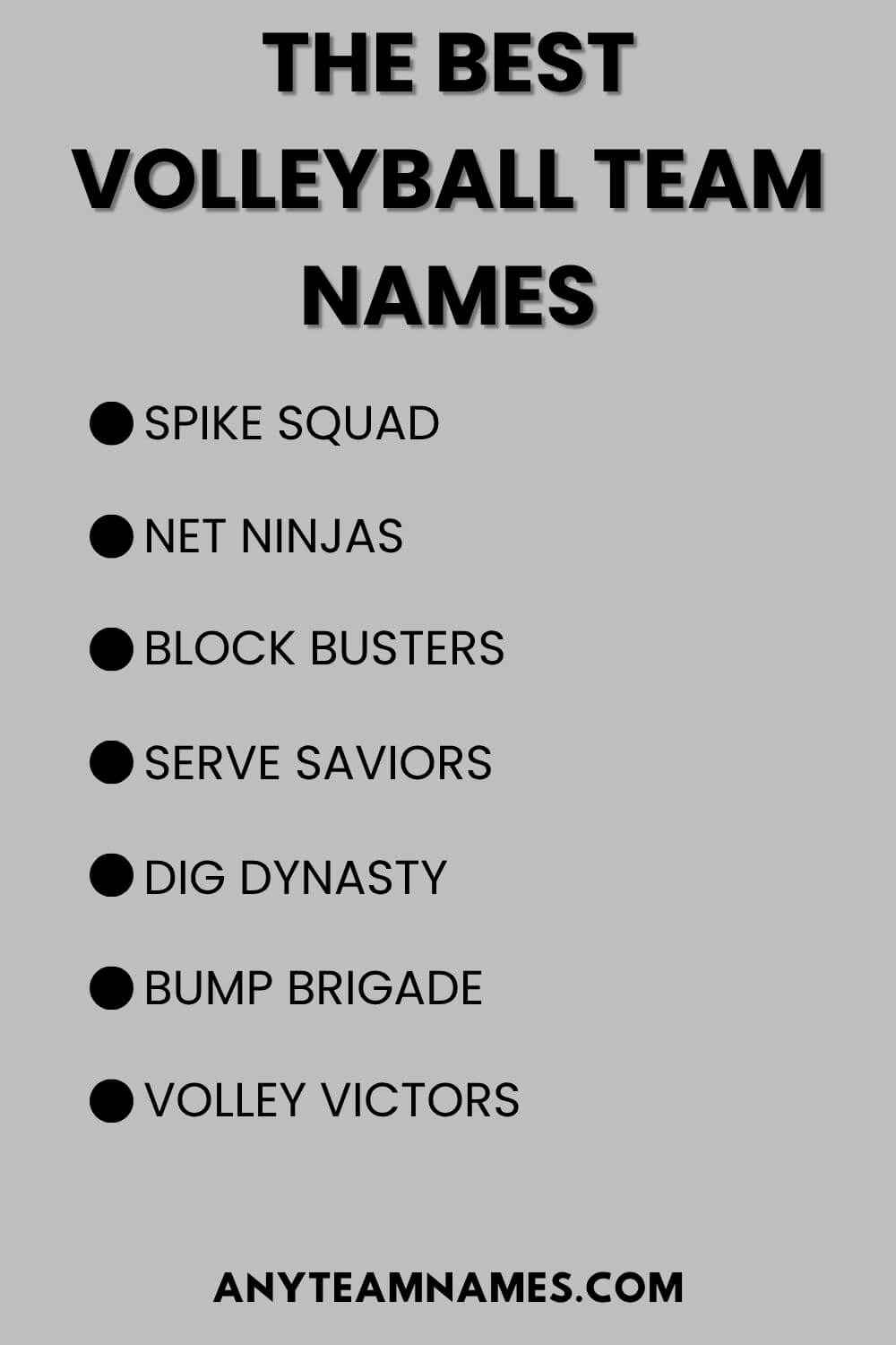 The Best Volleyball Team Names