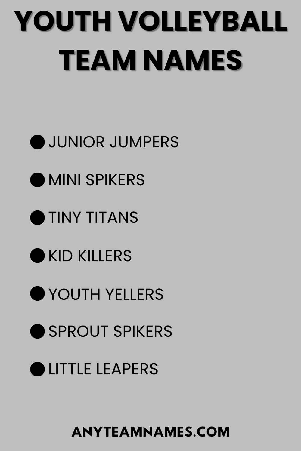 Youth Volleyball Team Names