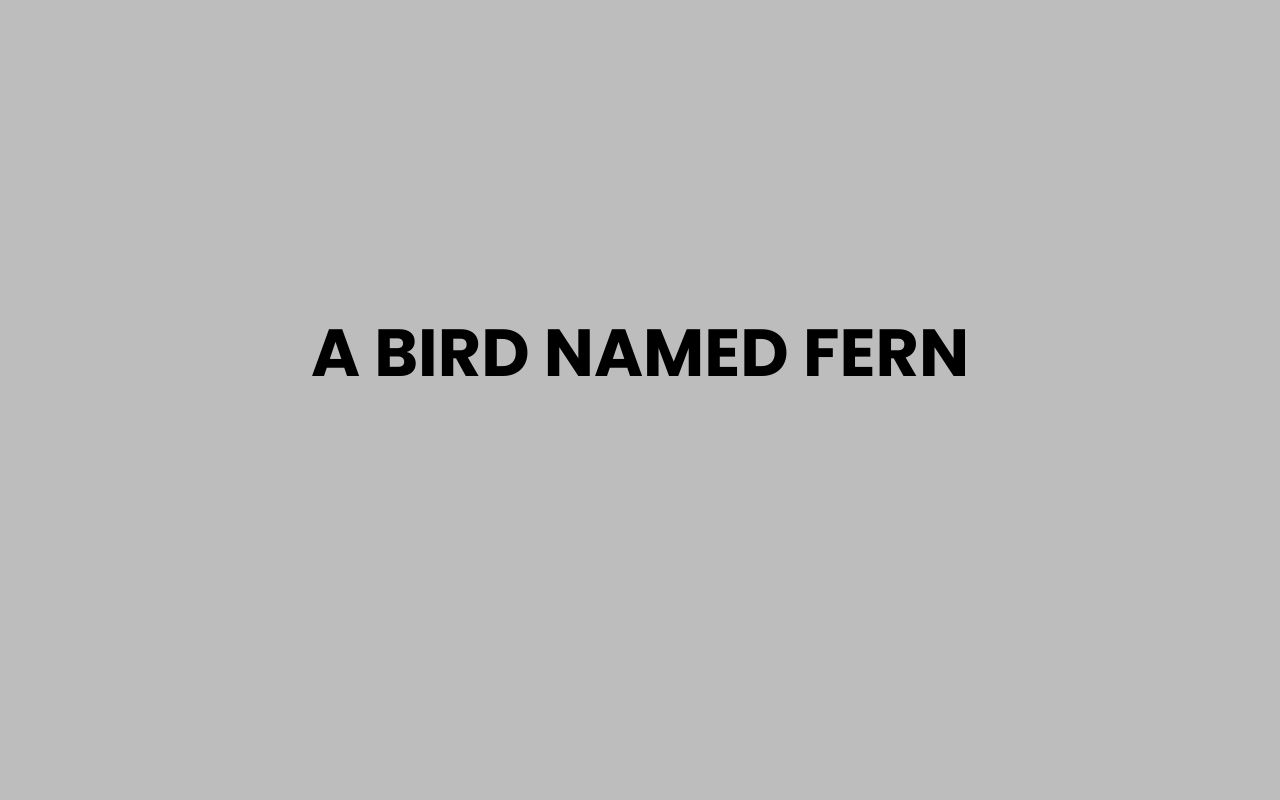 a bird named fern