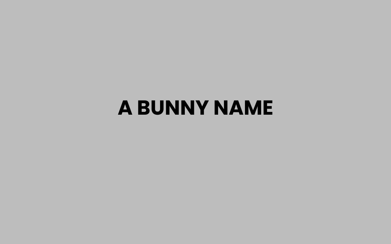 a bunny name
