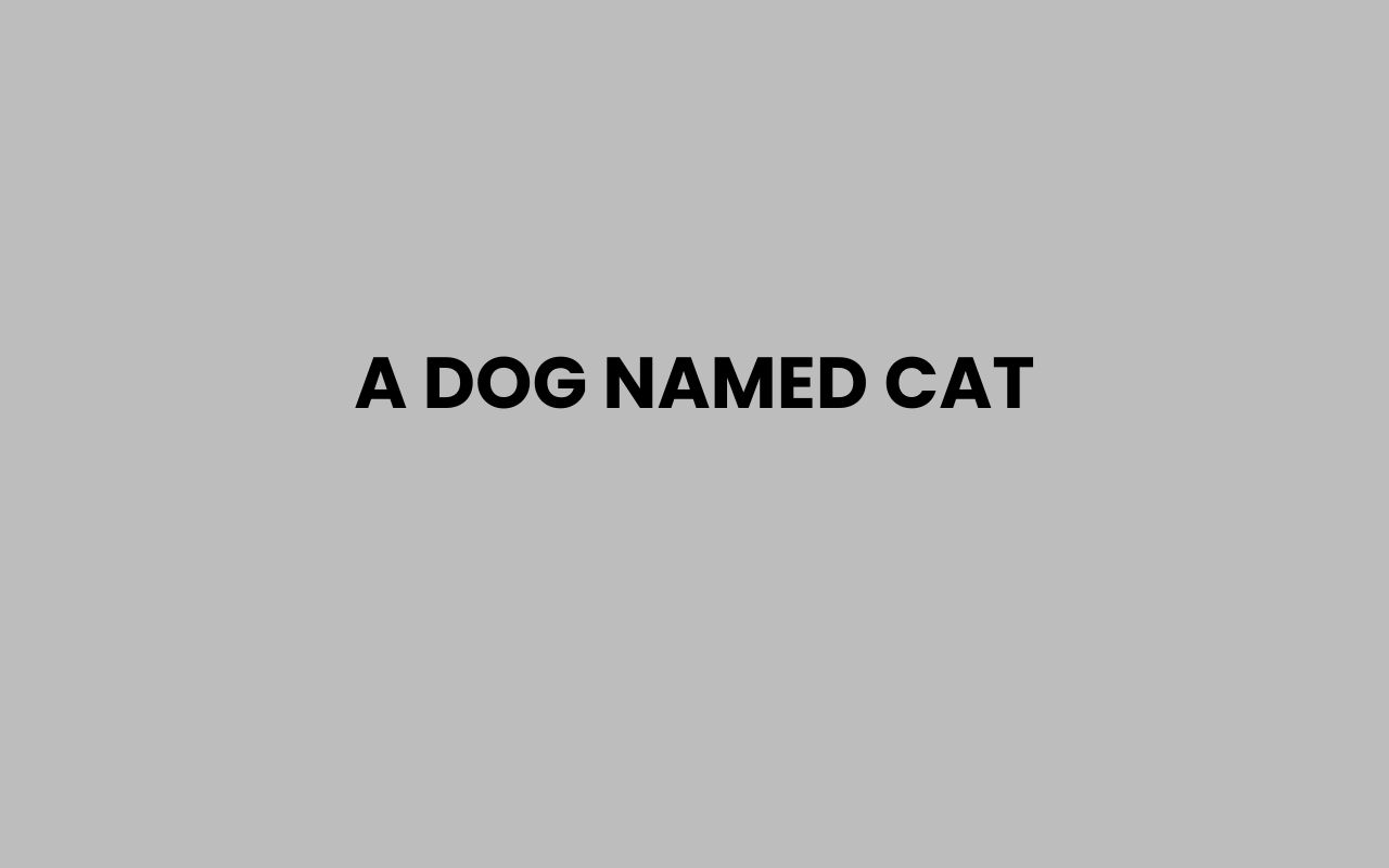 a dog named cat
