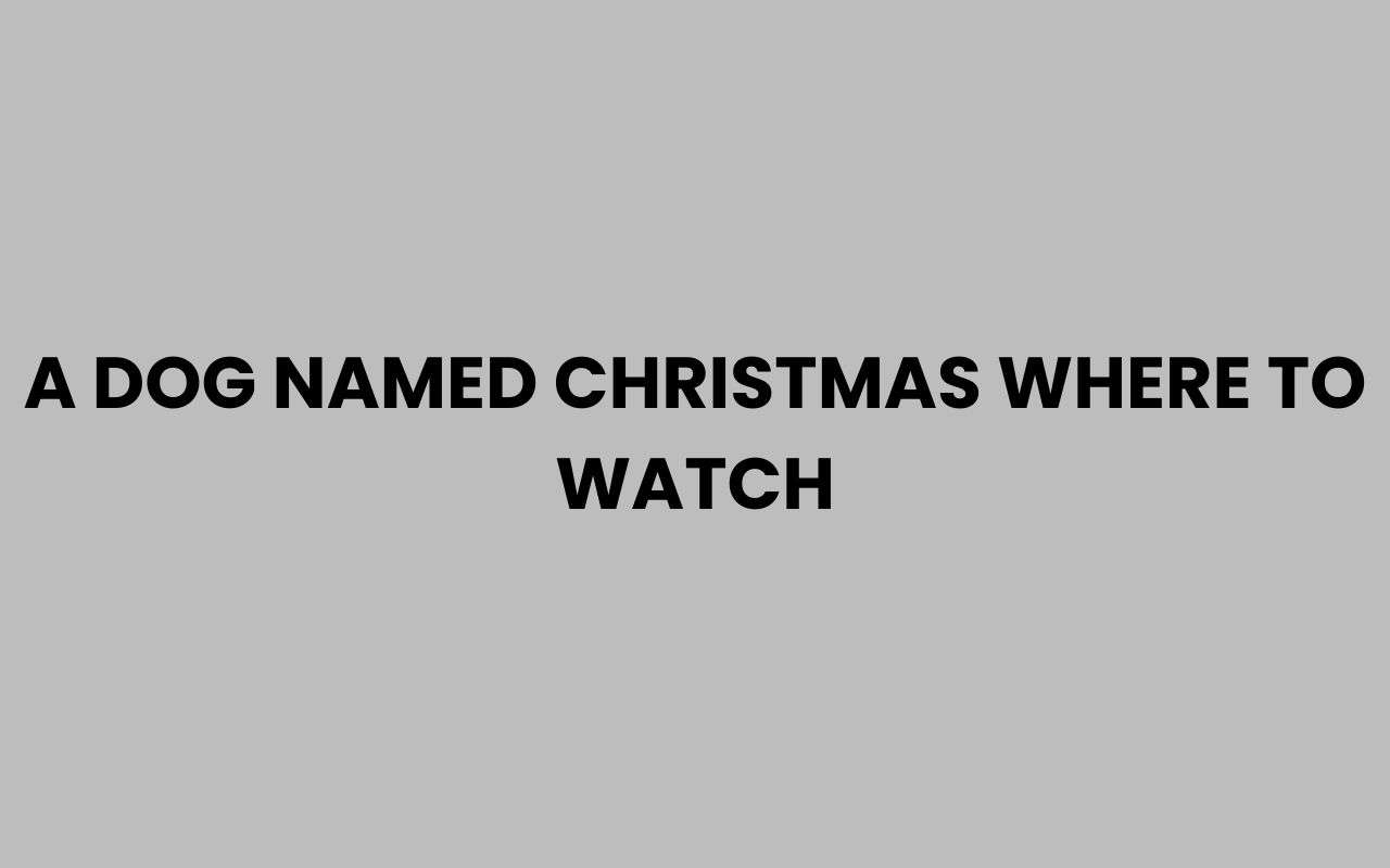 a dog named christmas where to watch