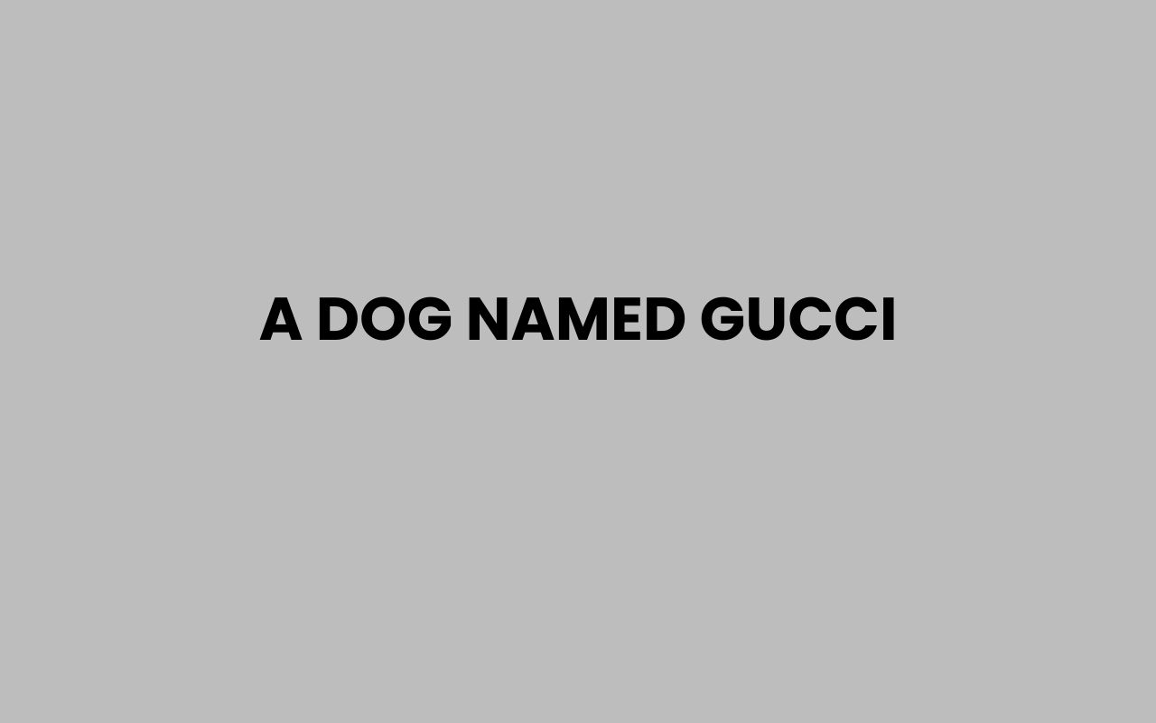 a dog named gucci