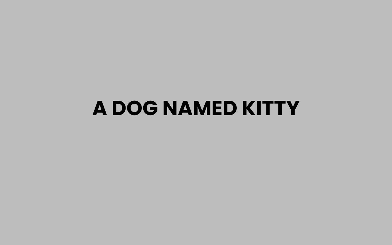 a dog named kitty