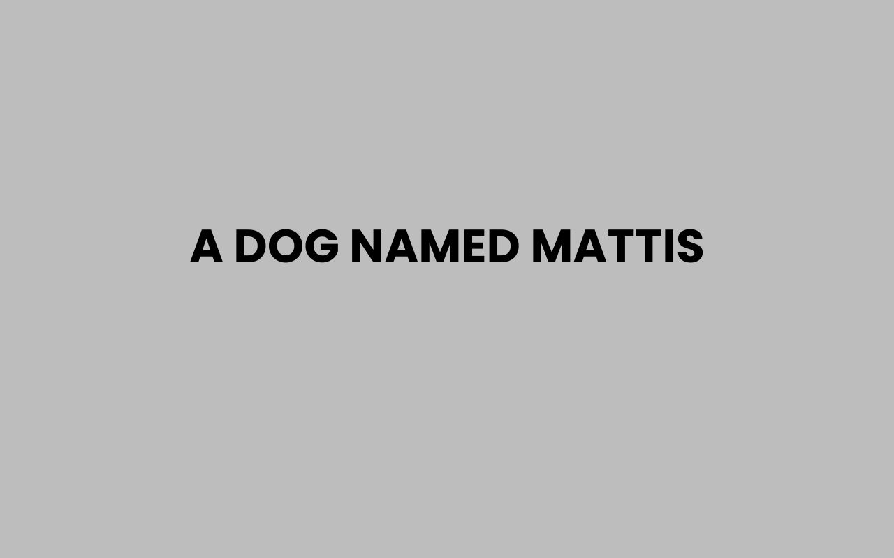 a dog named mattis