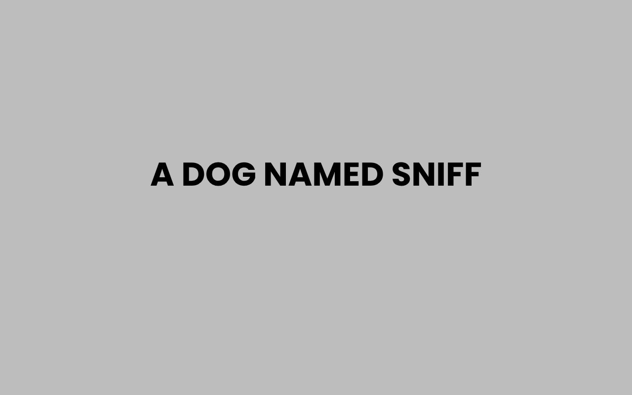 a dog named sniff