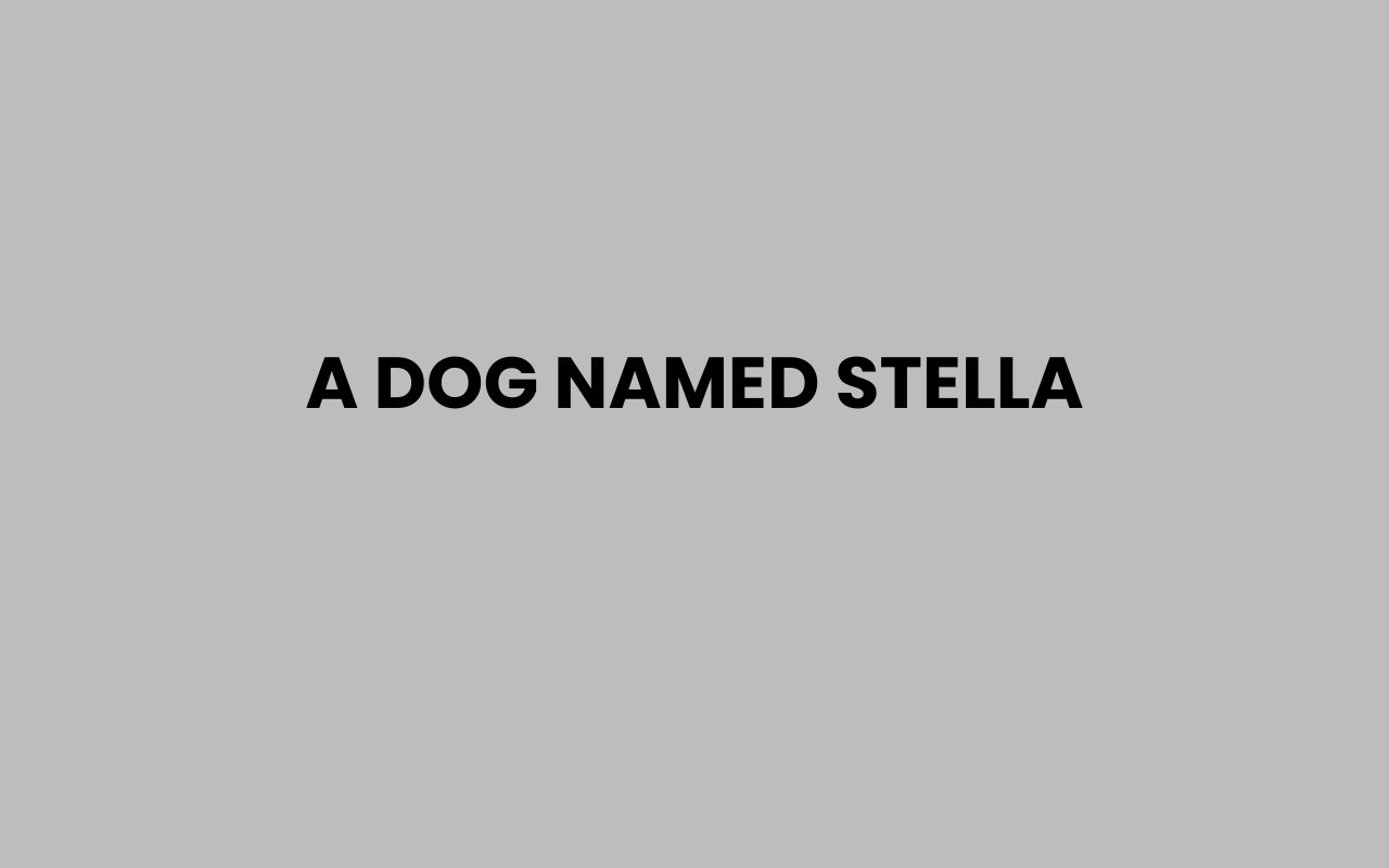 a dog named stella