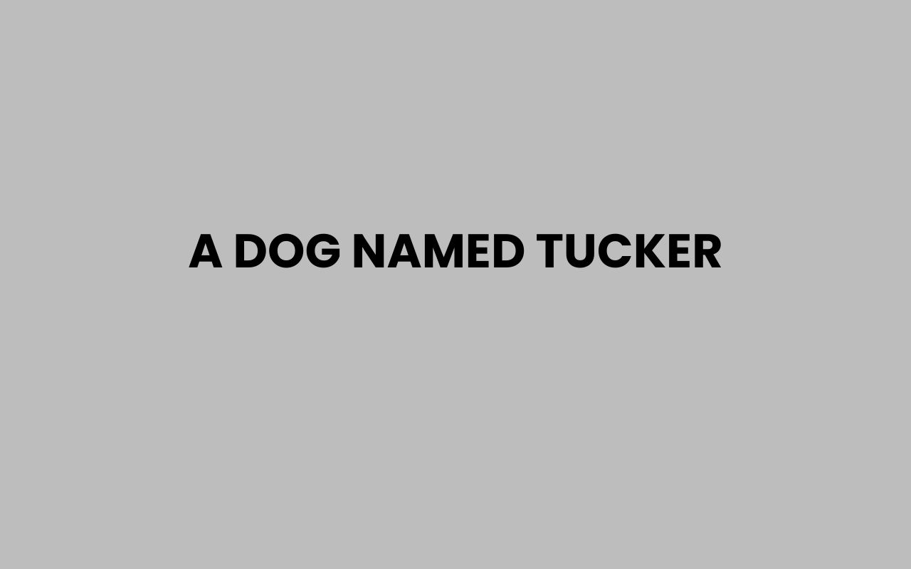 a dog named tucker