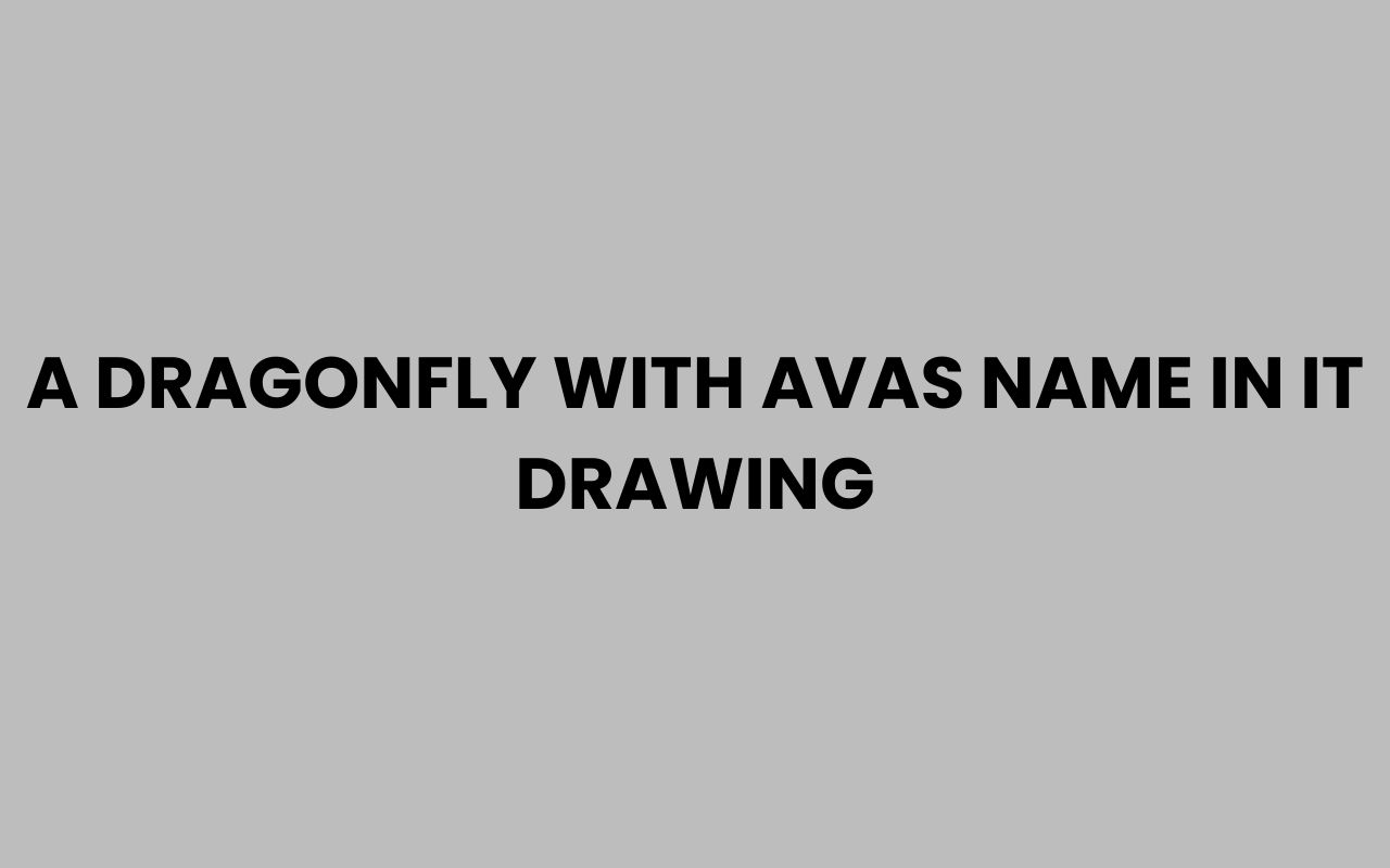 a dragonfly with avas name in it drawing