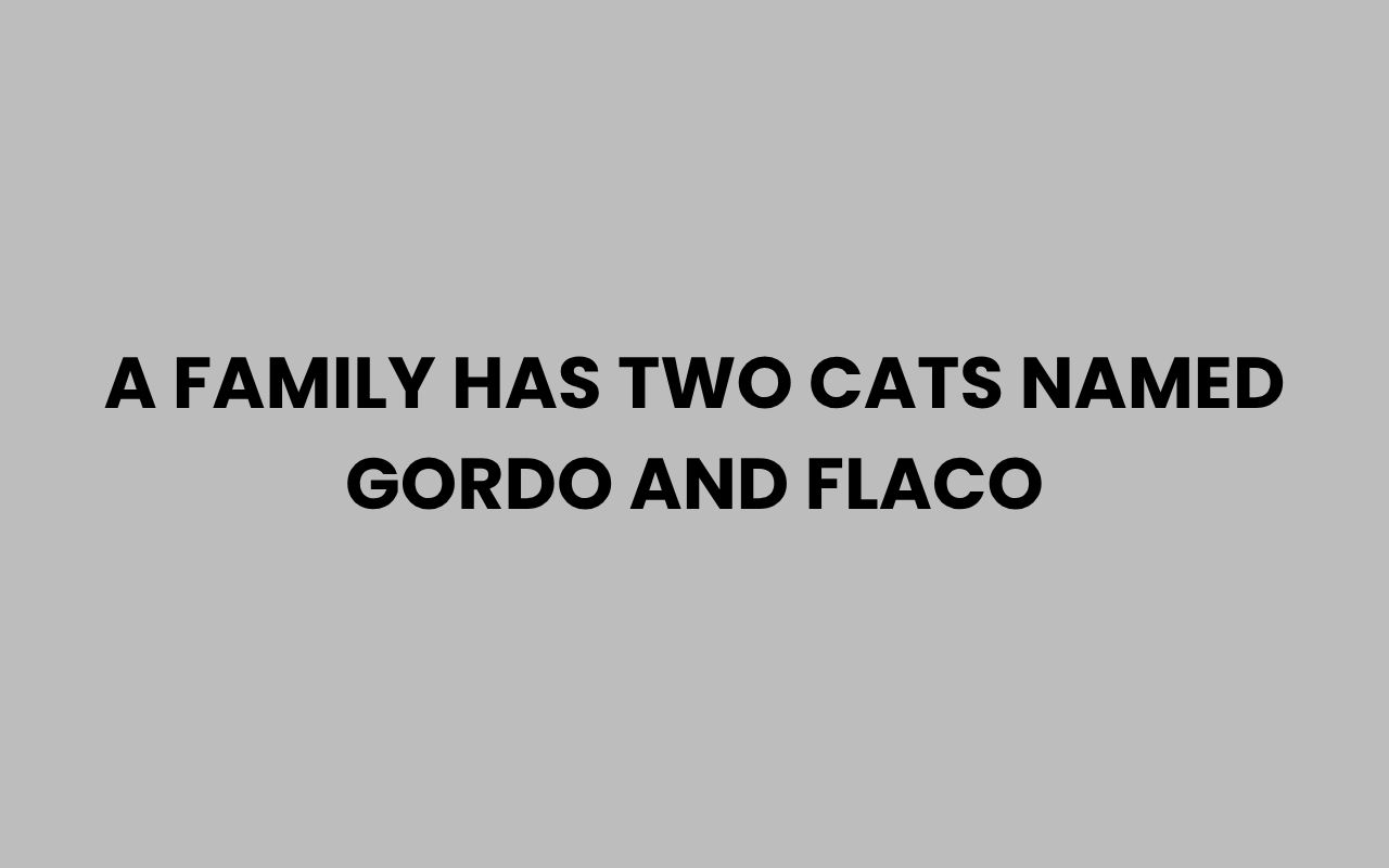a family has two cats named gordo and flaco