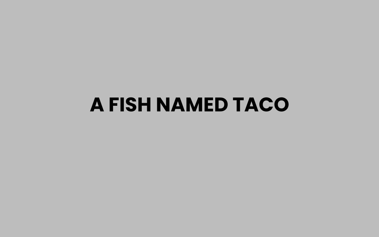 a fish named taco