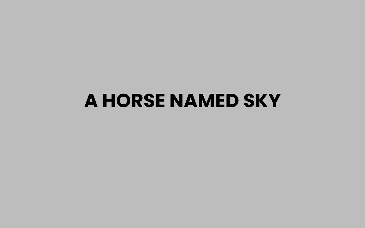 a horse named sky