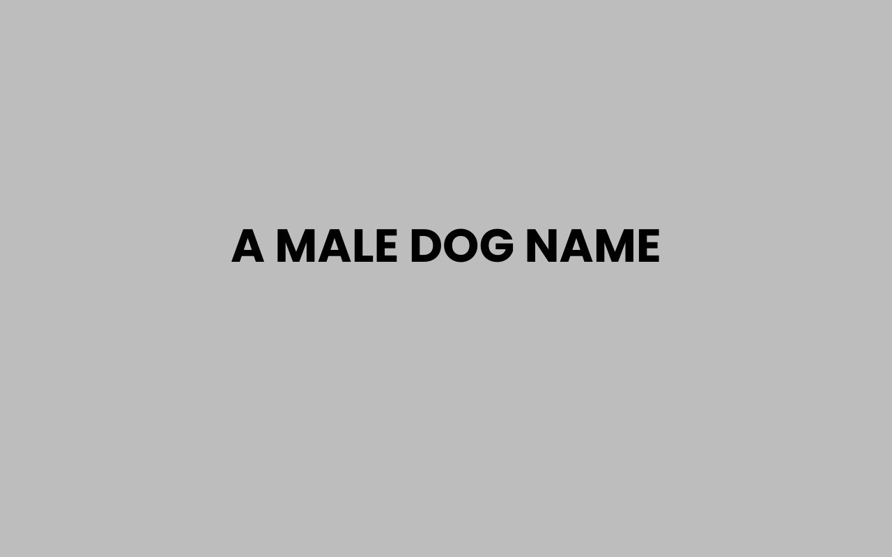 a male dog name