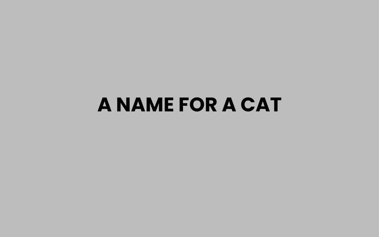a name for a cat