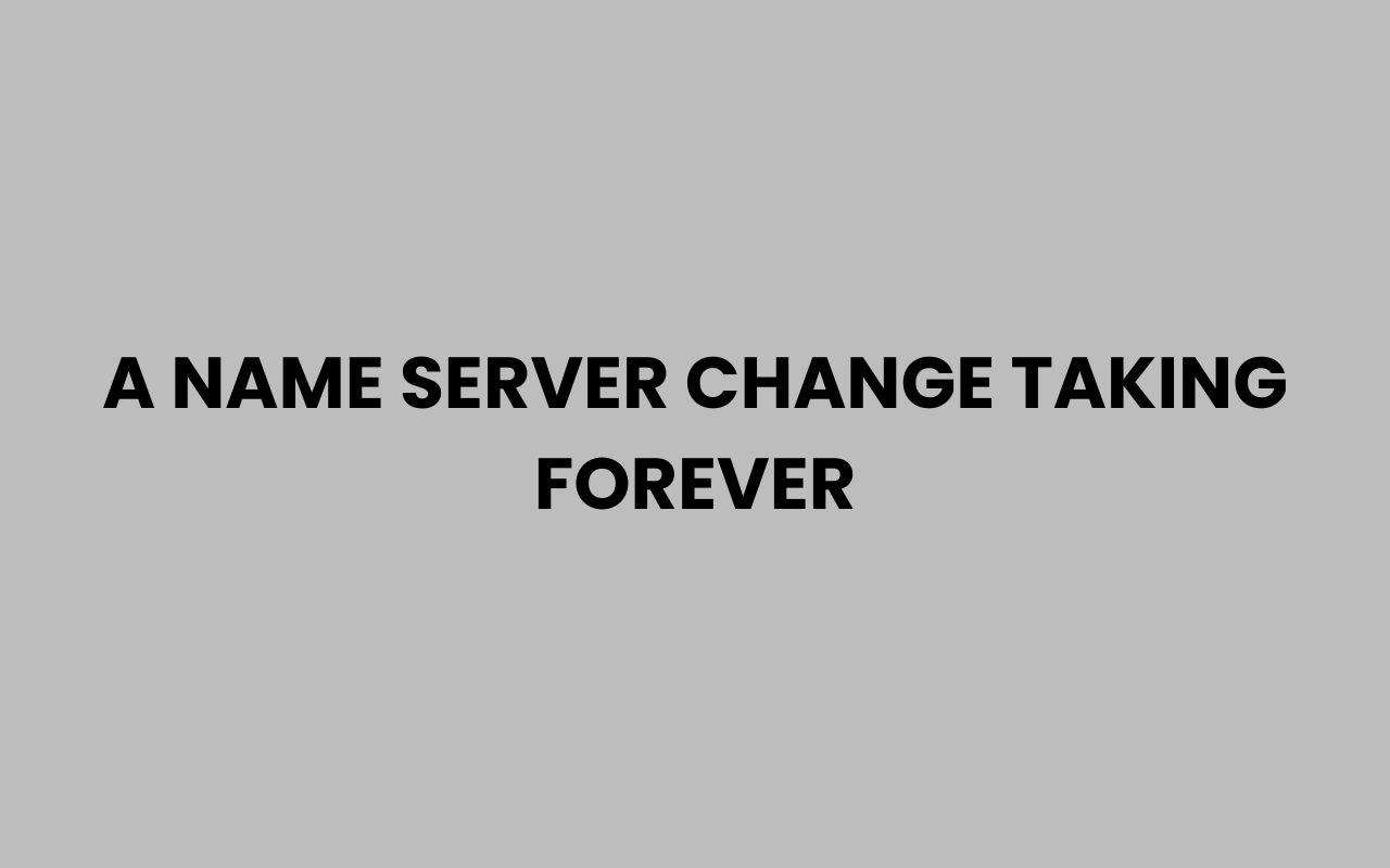 a name server change taking forever