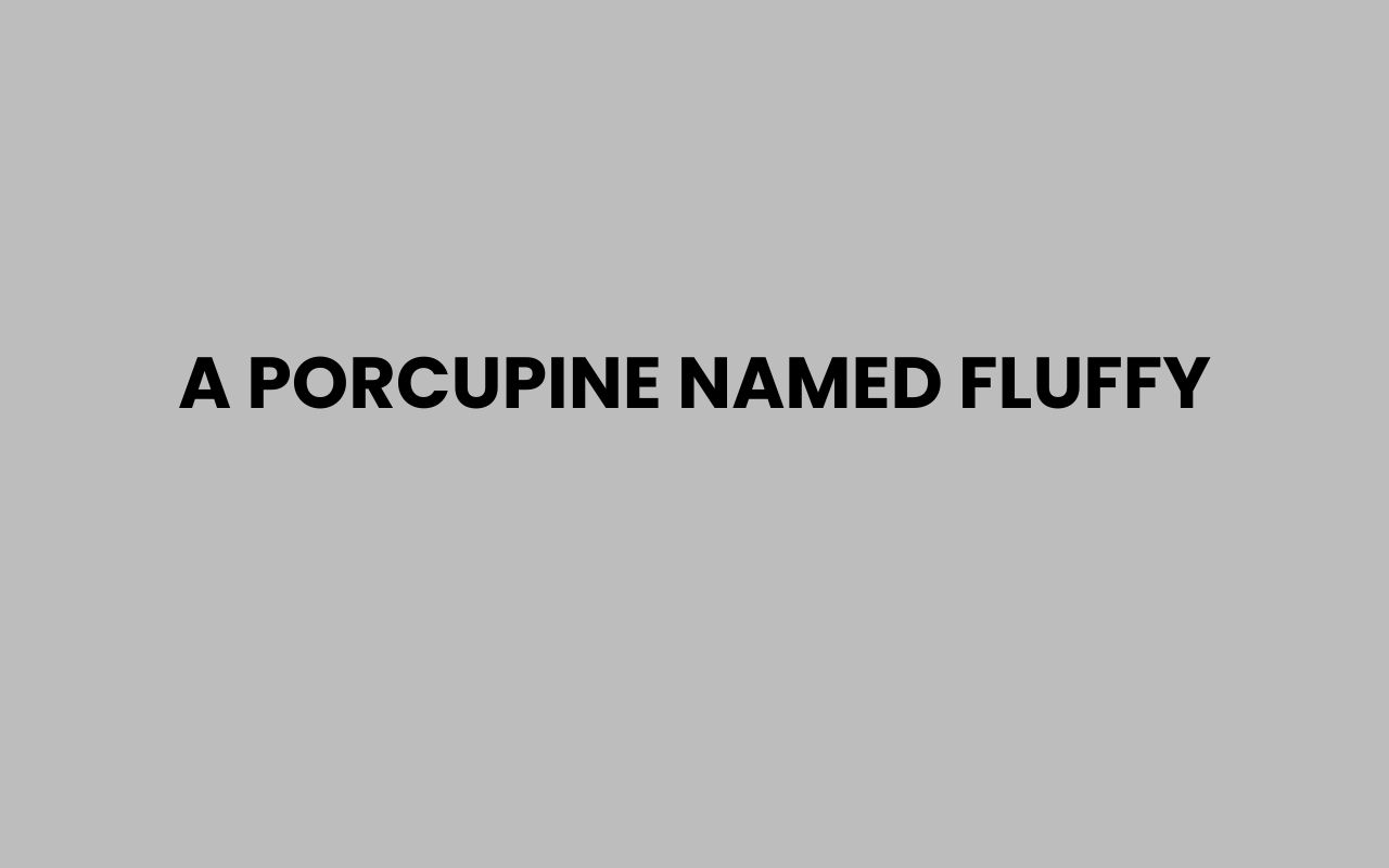 a porcupine named fluffy