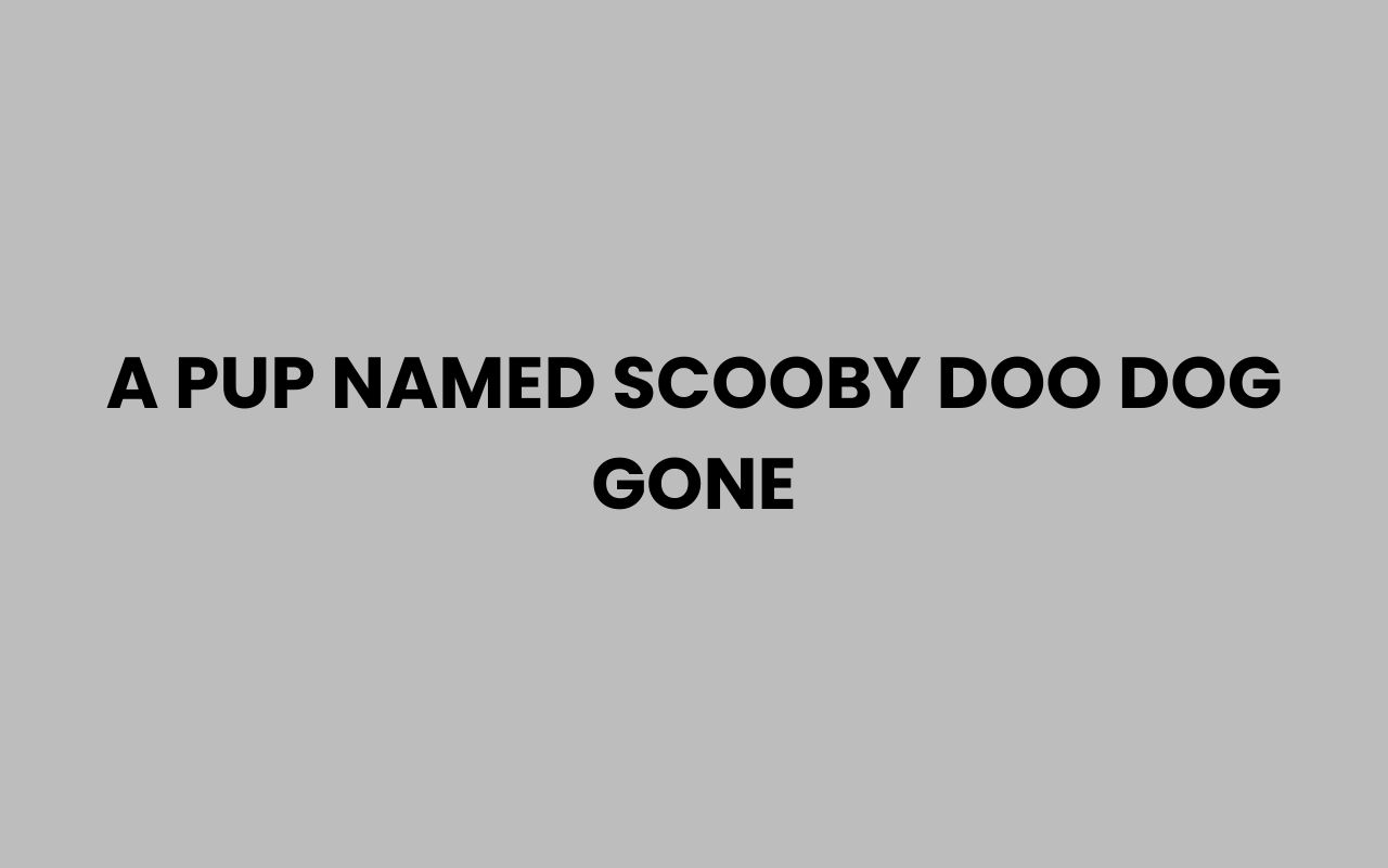 a pup named scooby doo dog gone