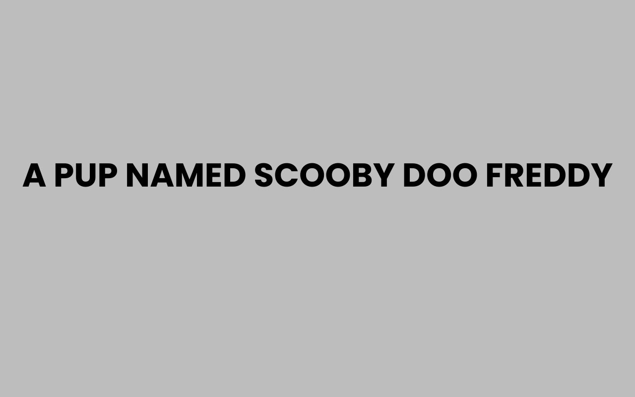 a pup named scooby doo freddy