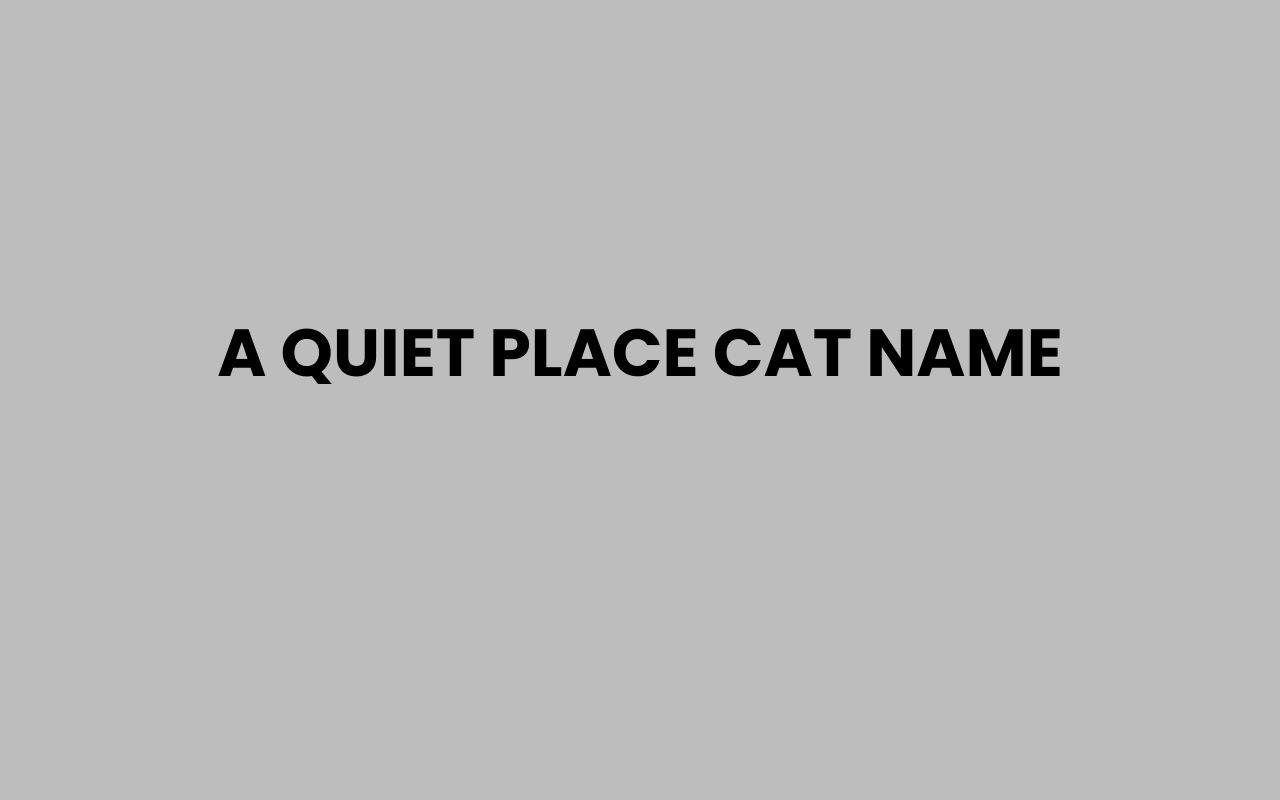 a quiet place cat name