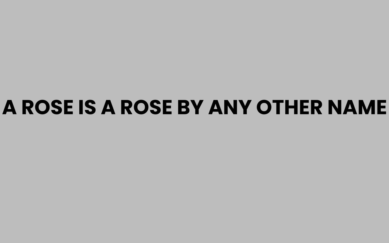 a rose is a rose by any other name