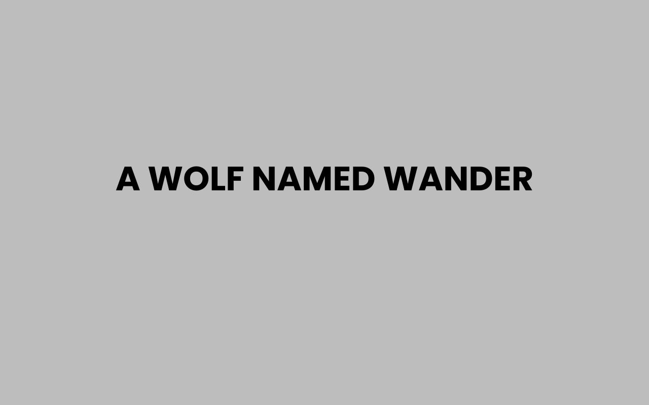 a wolf named wander