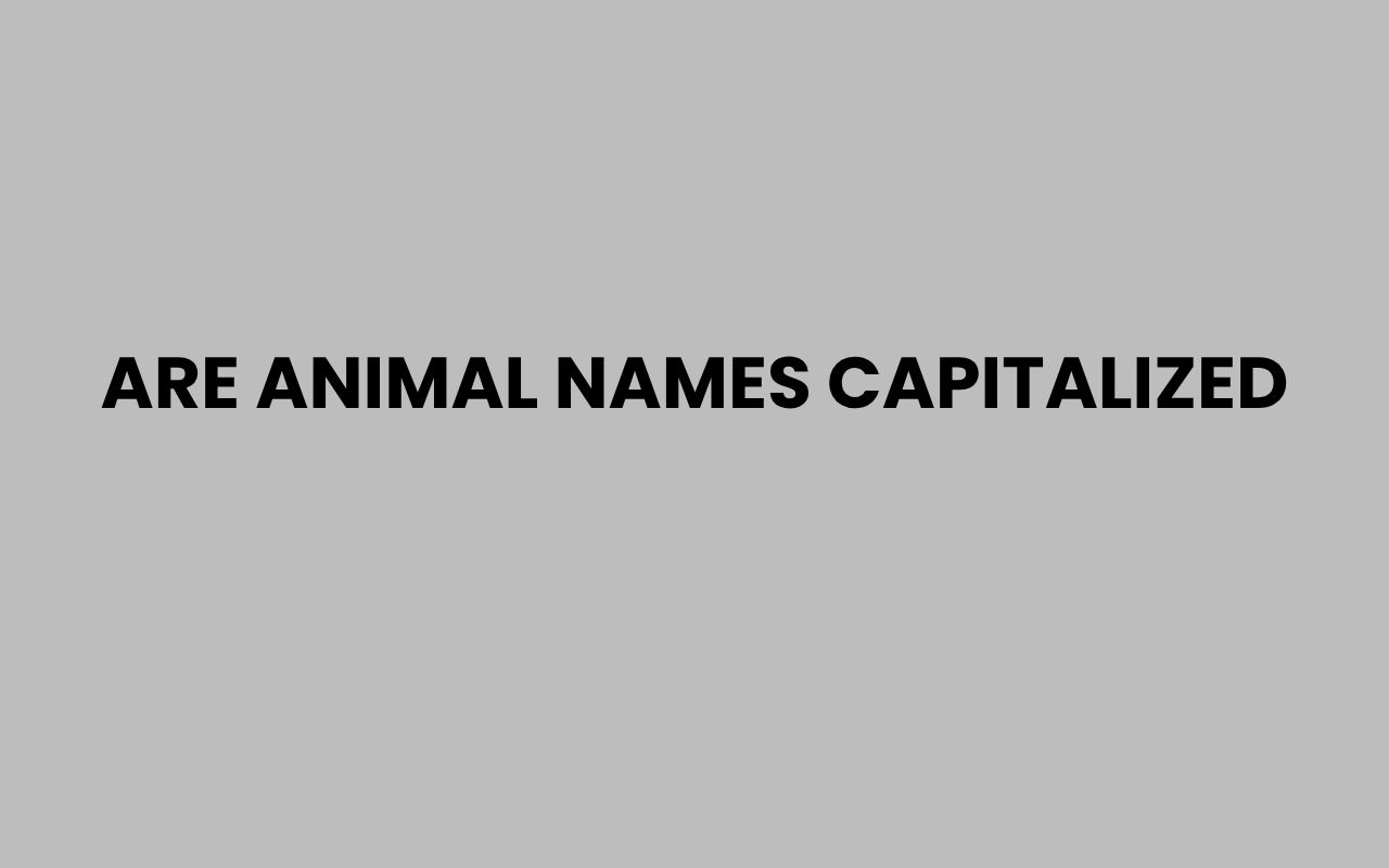 are animal names capitalized