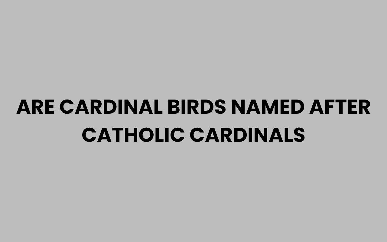 are cardinal birds named after catholic cardinals