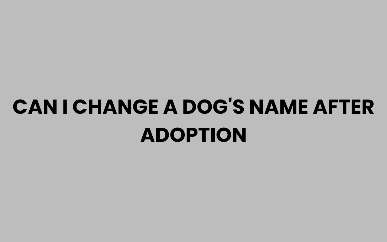 can i change a dogs name after adoption