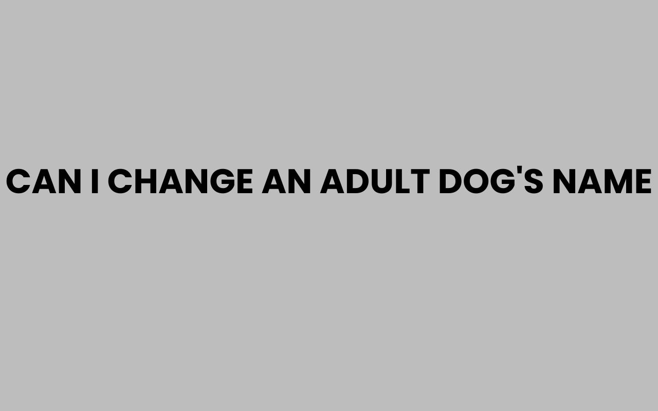 can i change an adult dogs name