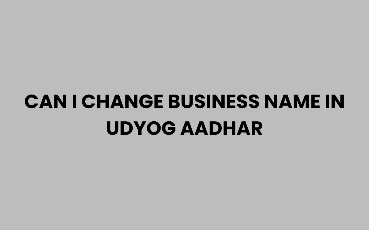 can i change business name in udyog aadhar