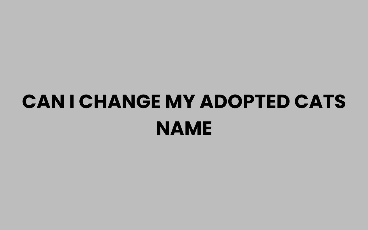 can i change my adopted cats name