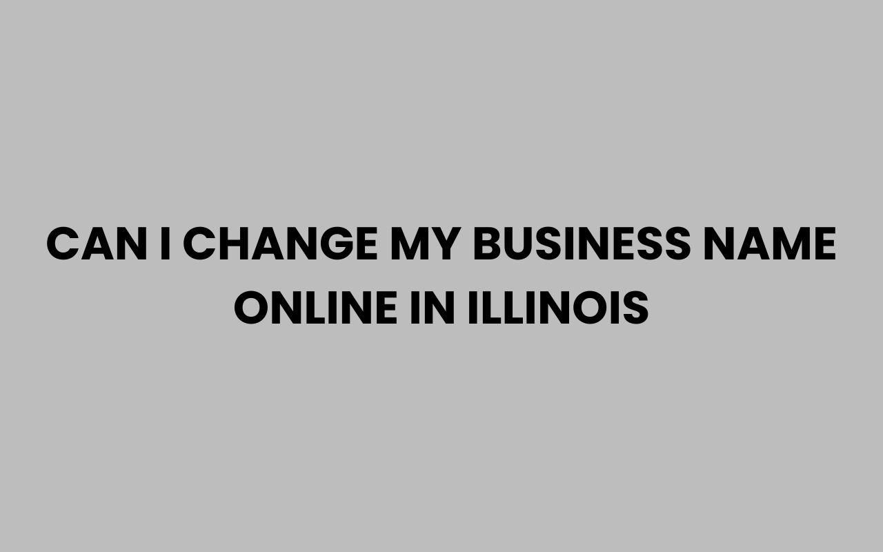 can i change my business name online in illinois
