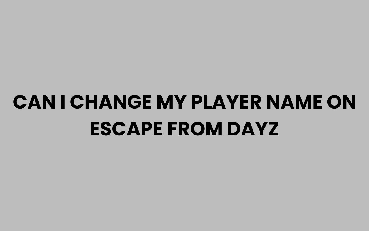 can i change my player name on escape from dayz