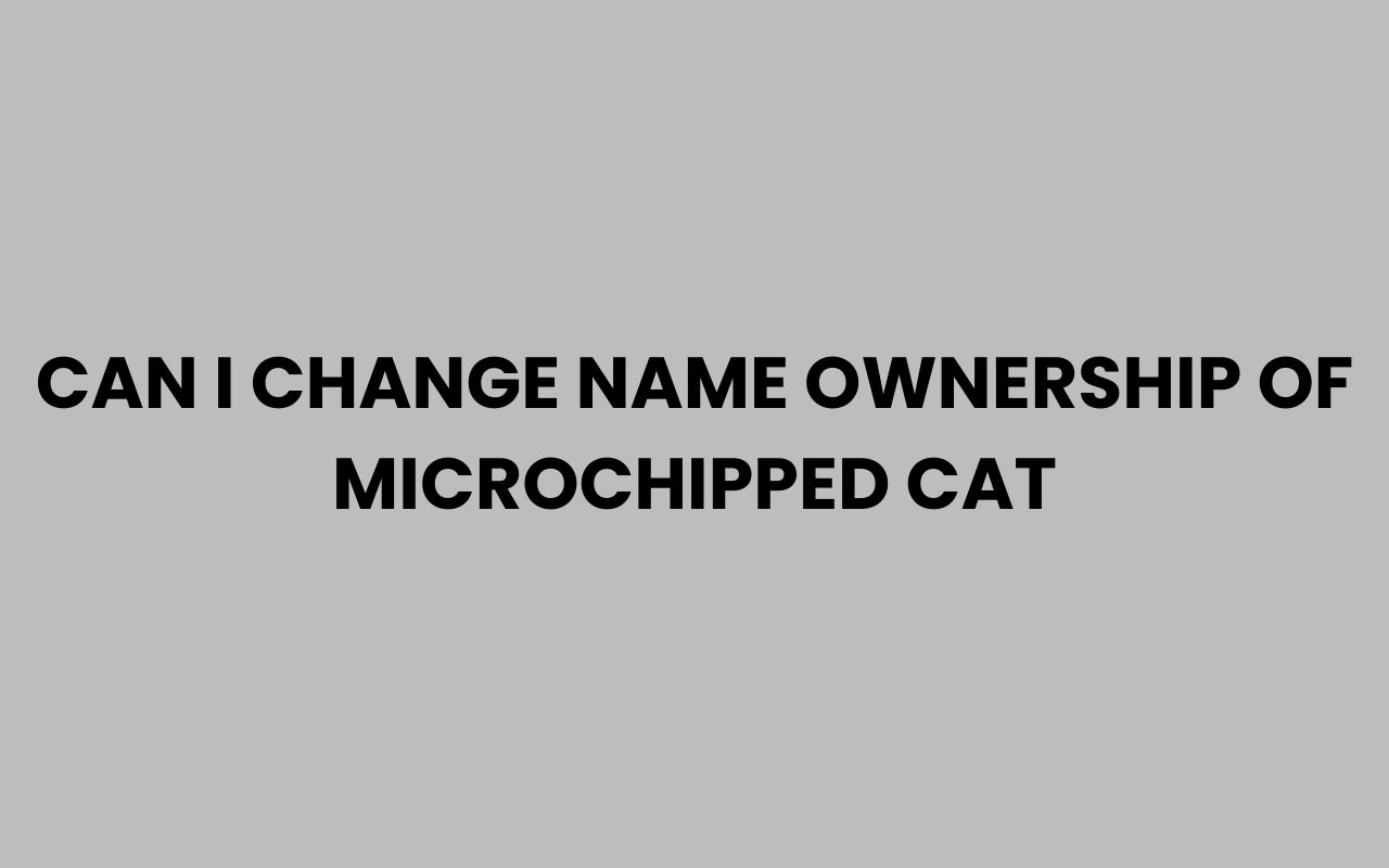 can i change name ownership of microchipped cat