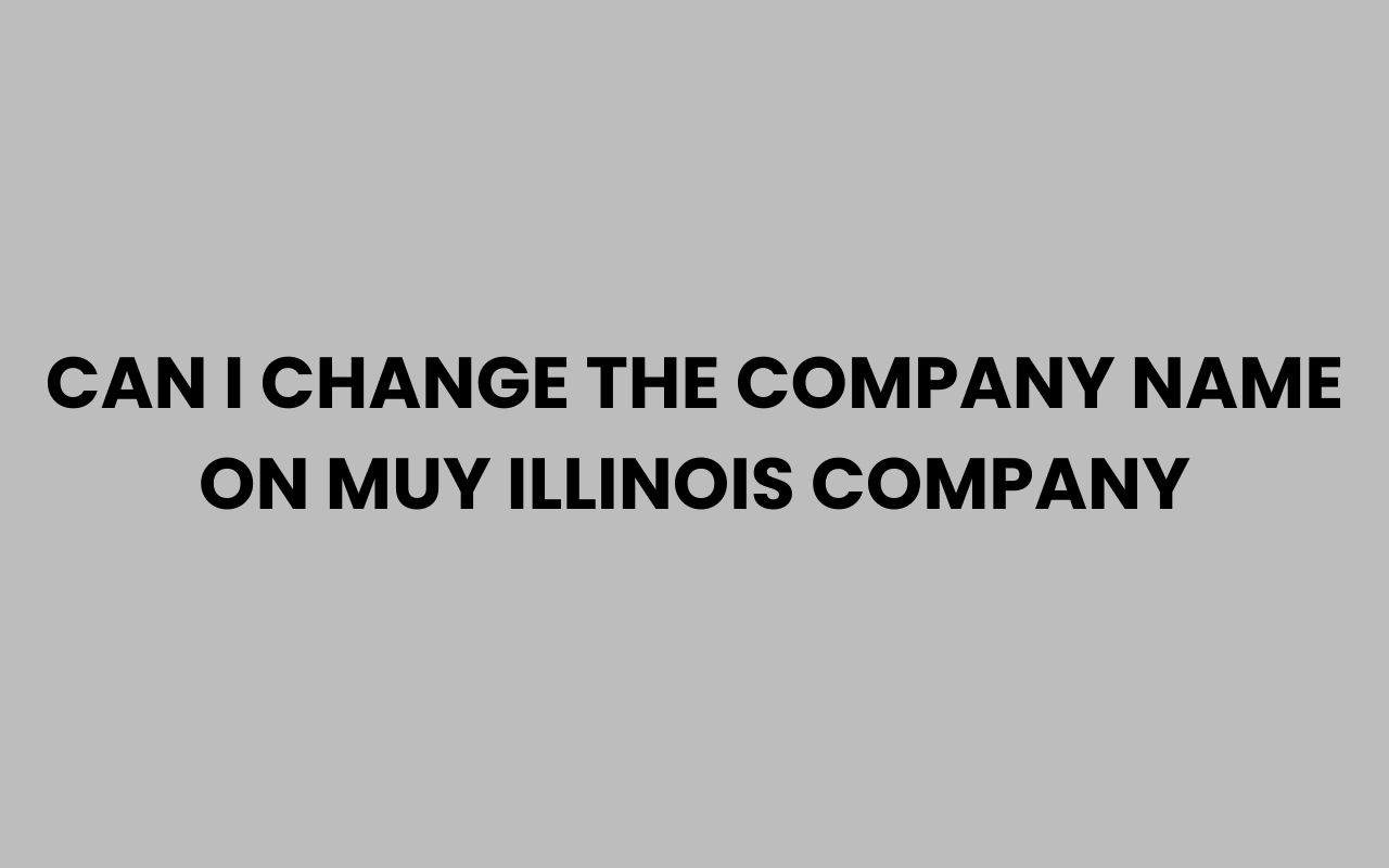 can i change the company name on muy illinois company