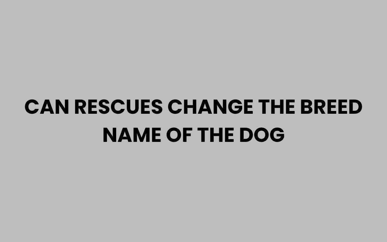 can rescues change the breed name of the dog