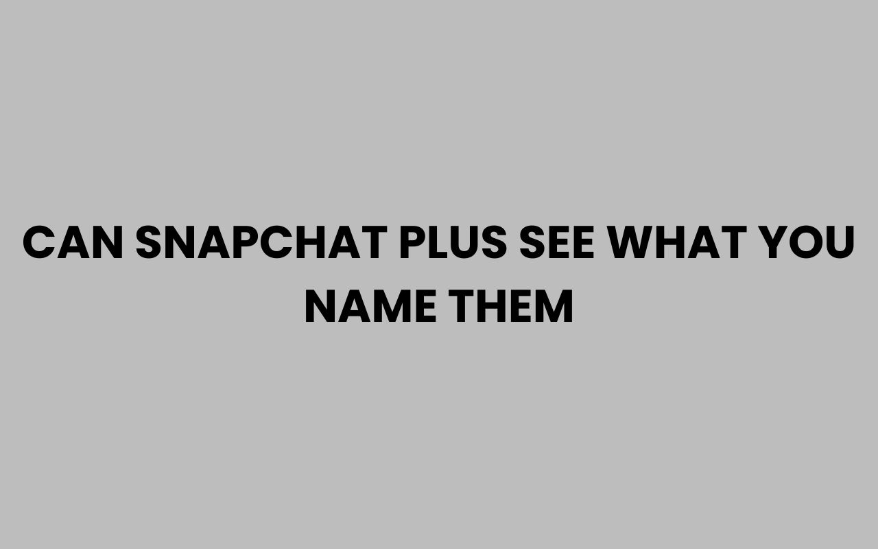 can snapchat plus see what you name them