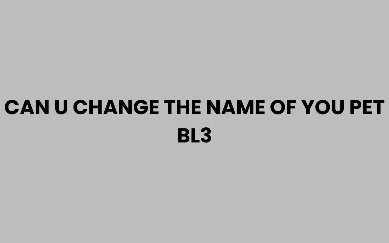can u change the name of you pet bl3