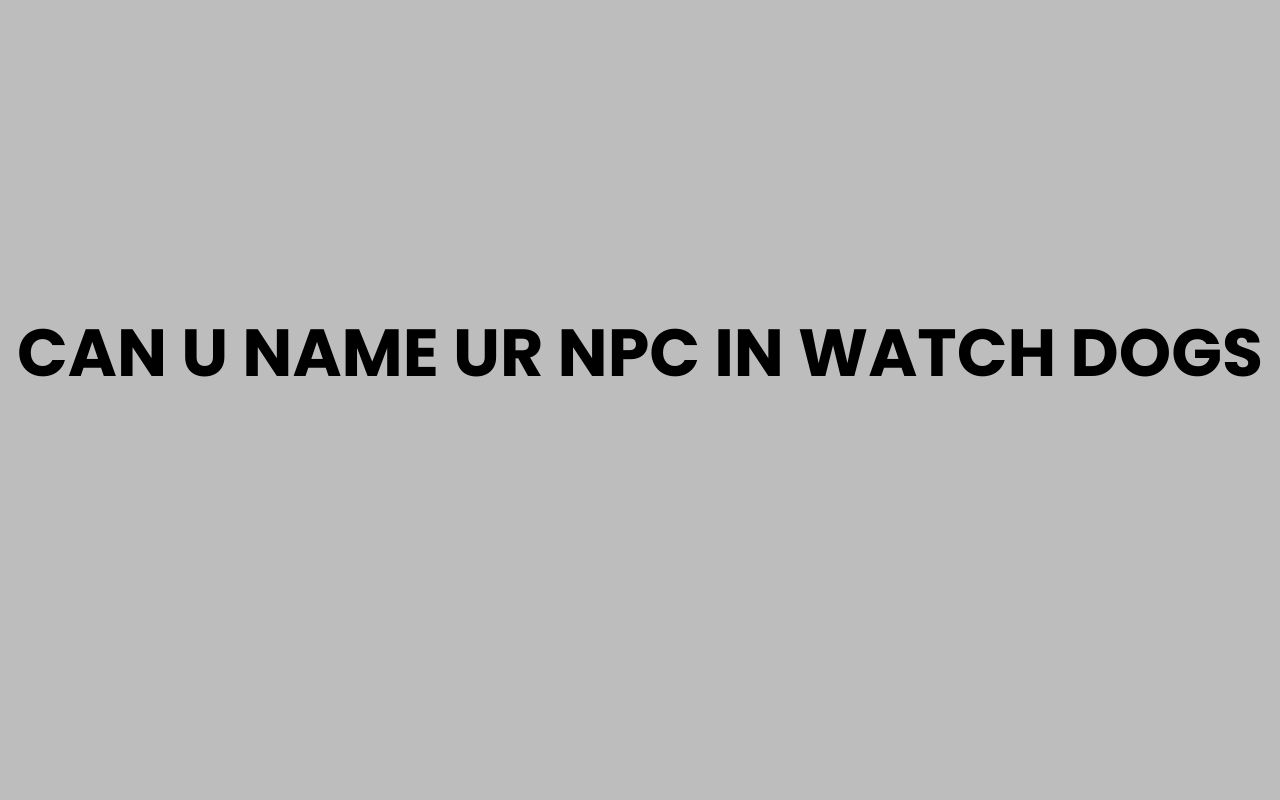 can u name ur npc in watch dogs