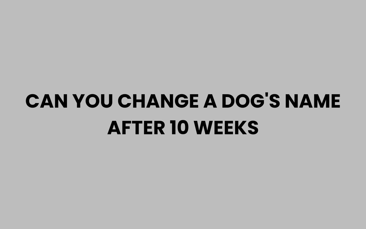 can you change a dogs name after 10 weeks