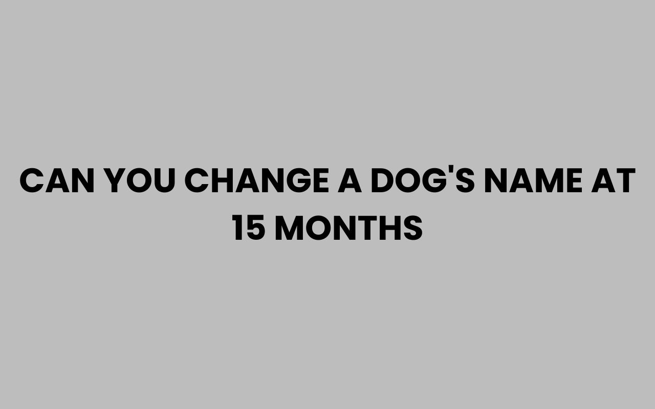 can you change a dogs name at 15 months