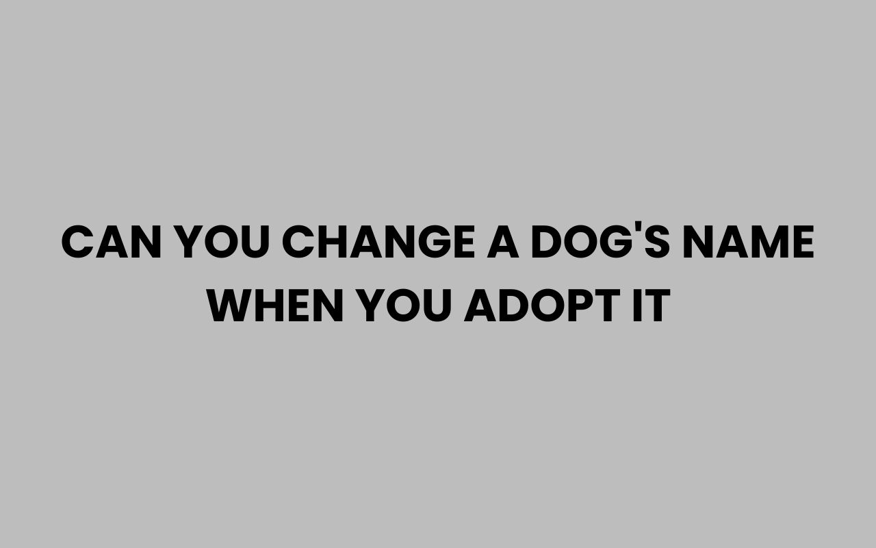can you change a dogs name when you adopt it