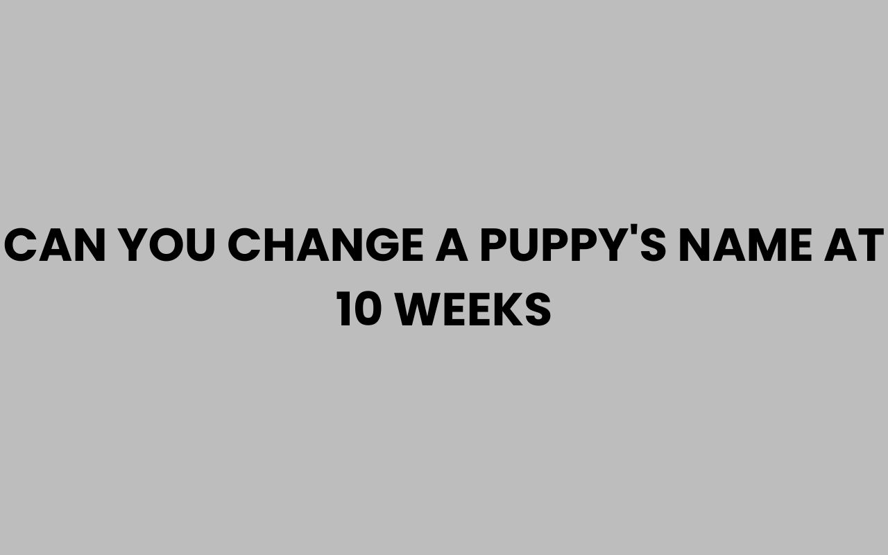can you change a puppys name at 10 weeks