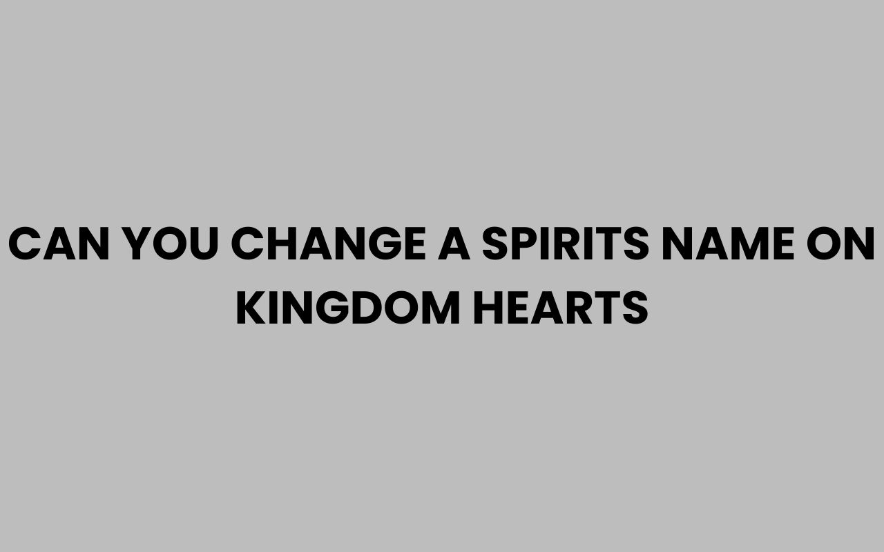 can you change a spirits name on kingdom hearts