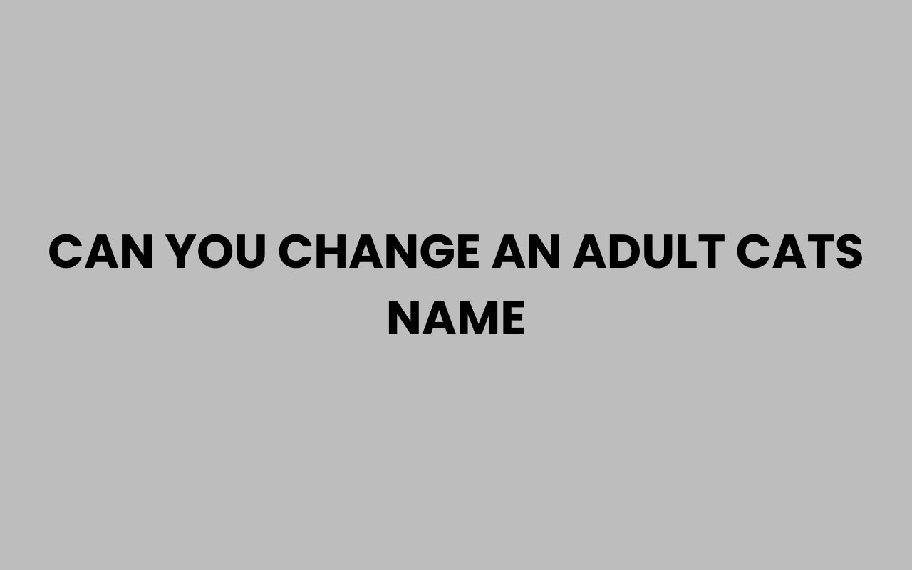 can you change an adult cats name