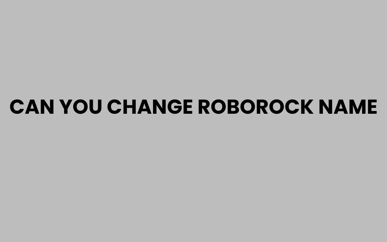 can you change roborock name