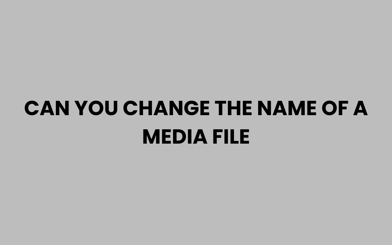 can you change the name of a media file