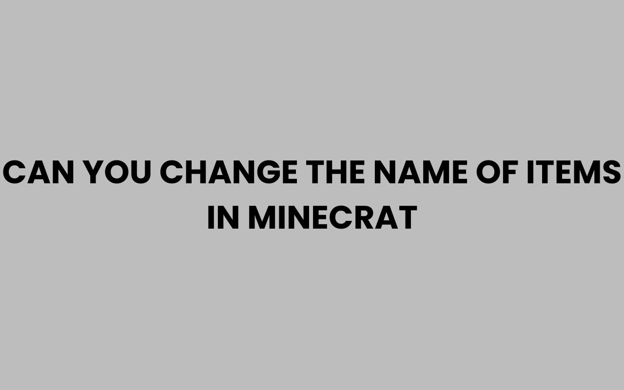 can you change the name of items in minecrat